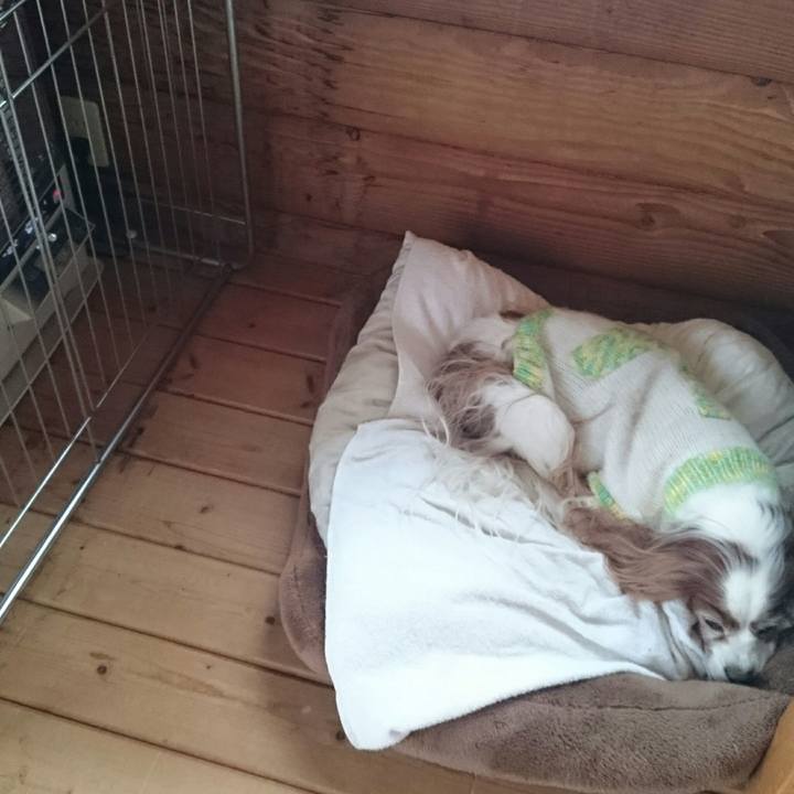 E4671fc1 b882 457c b3d6 71cd72c3e458 1544842850504