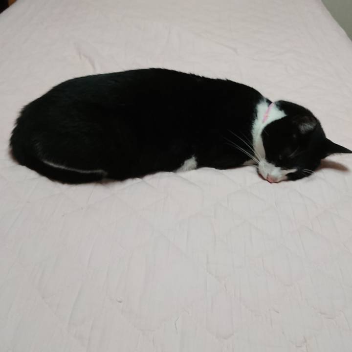 E467344a 2dee 47cb afdf 29d182bdf2f5 1598661075953