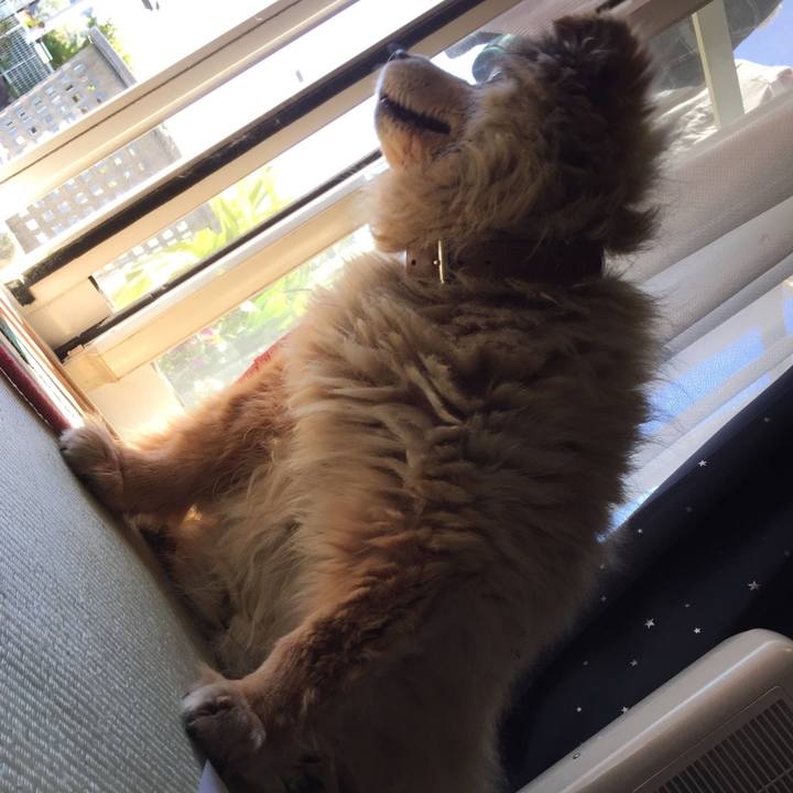 E467386d cc32 4456 be13 48e49c231ada 1583036897323