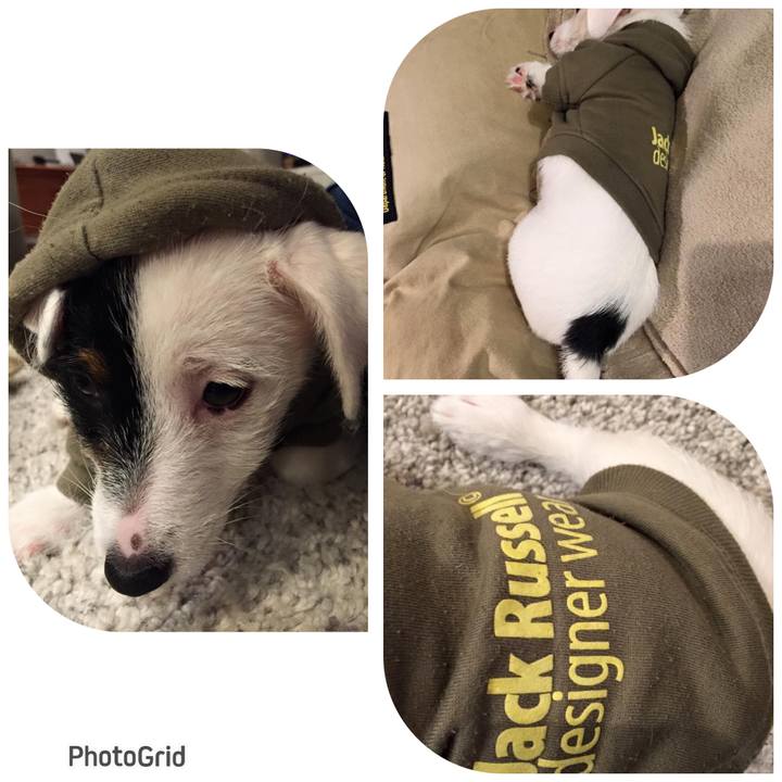 E4675693 136b 4209 b6be b4e55ac91a0f 1676291022849