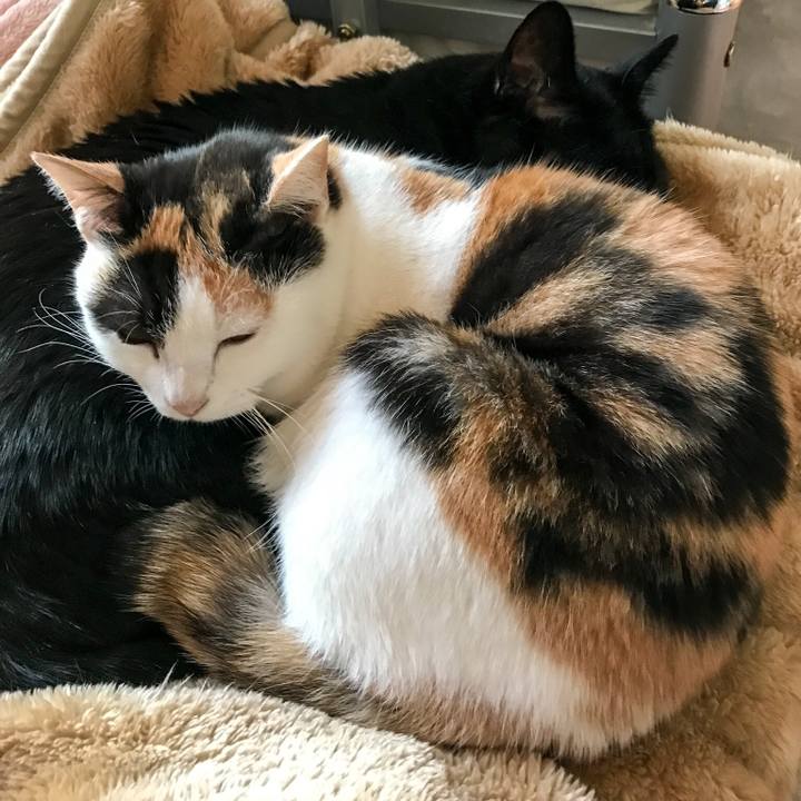 E4675915 41f7 43d6 9b1d 1a250b246ee0 1516247883488