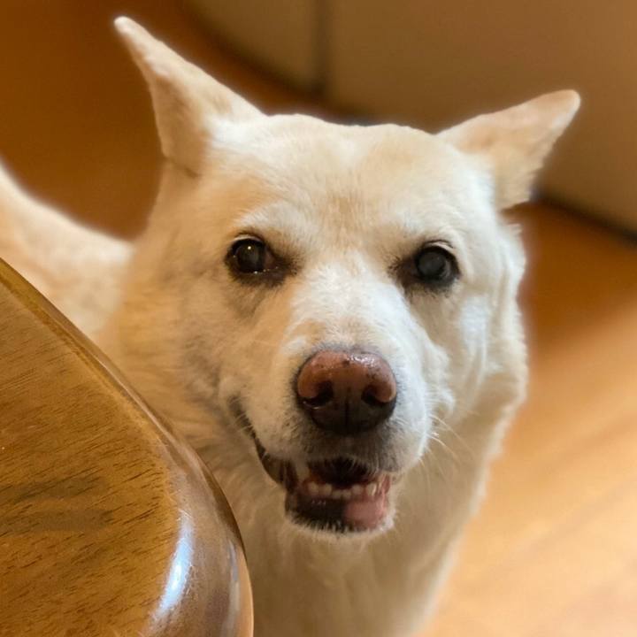 E467979b 98b1 4e97 81f6 d6a8920a1fe4 1570925523242