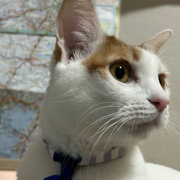 E467e983 0561 4351 bc55 ce6252b5689b 1761209218541