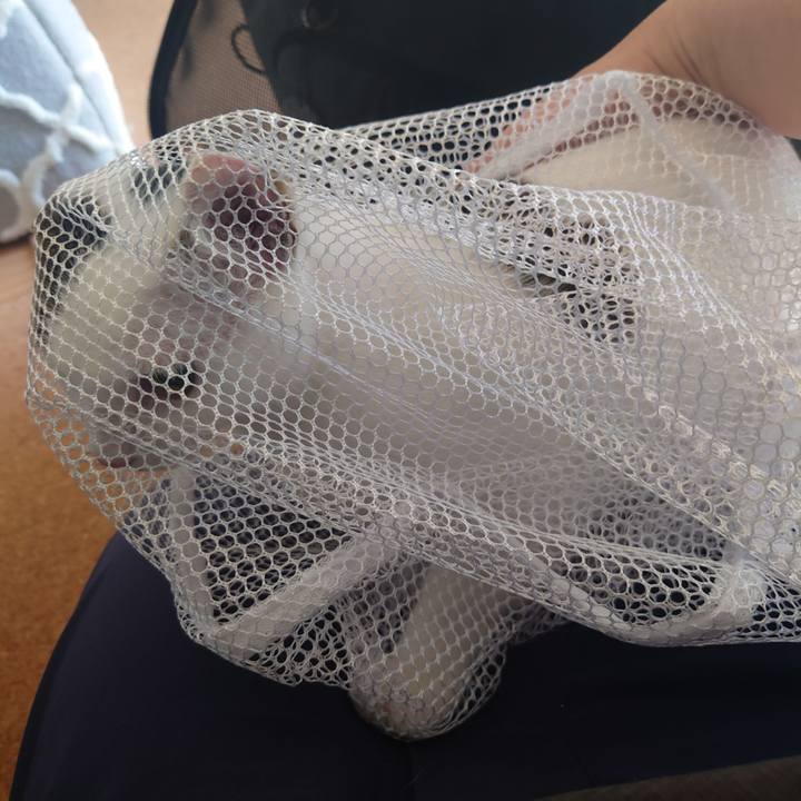 E4682483 d615 47f9 a799 2ae97a848981 1695731937003