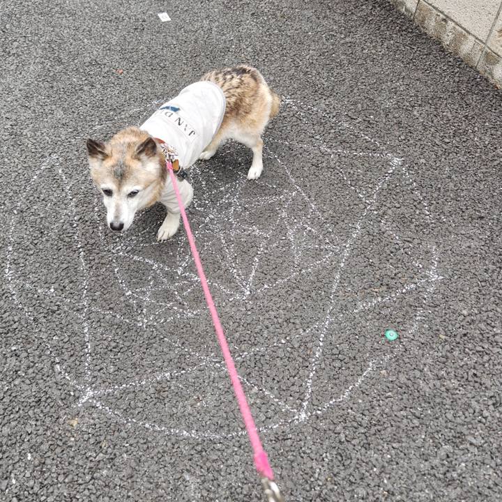 E4682f77 50cb 4f84 9708 2eb5a6931756 1772454814702