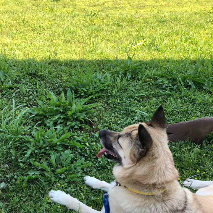 E4683a6d 6b9a 4da4 b51a cc748bd5292f 1588751988839