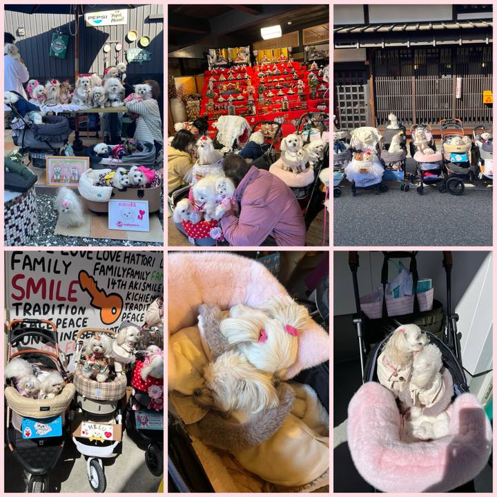 E468b3b8 f194 48f3 8c7e 5f1ea1d789f6 1709454339974