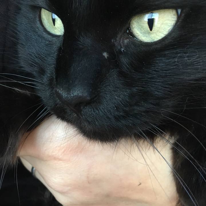 E4690900 99c5 44f2 8e4f 448af57912e9 1519200736294