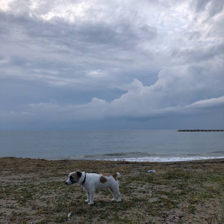 E4691138 2334 4230 9c82 86808f2457bc 1601711314135