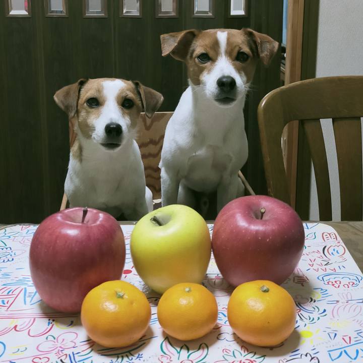 E4691a75 342b 4015 8995 fe63aa74446c 1765270302386