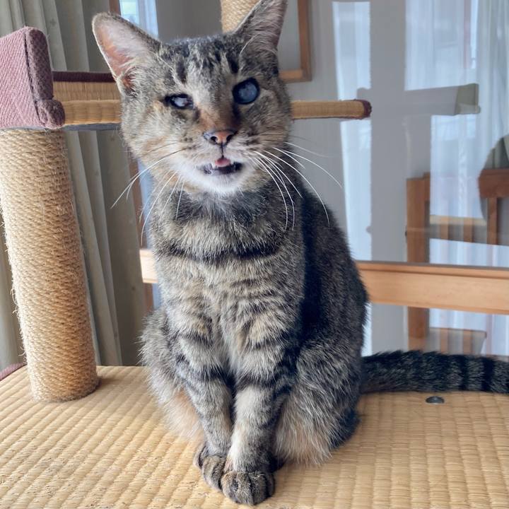 E4696dbf c527 4bcb 8c13 93bf523a36b7 1674882526468