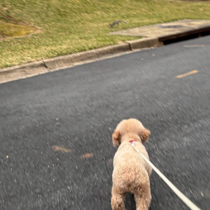 E469934b 10b6 4d8c b787 158bb150d0d5 1742248093825