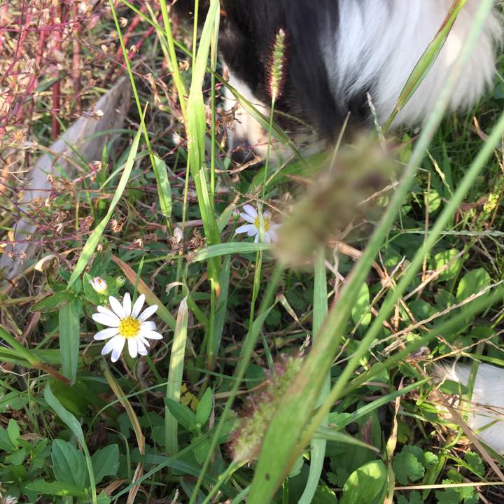 E469ee89 d1b9 4e4c ad0a 0fd23adbd2b5 1570317741193