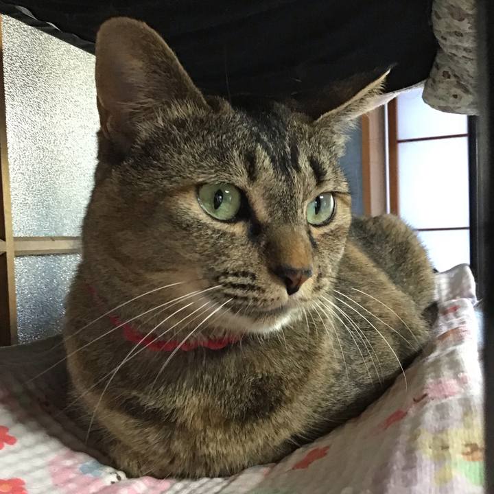 E46a1c26 0588 4cc9 a98e af73914145f0 1685795277076