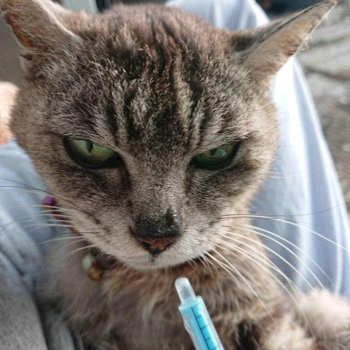 E46a5d0e 5adc 46ac 8bbd 1ee2c1aadc67 1596402097063