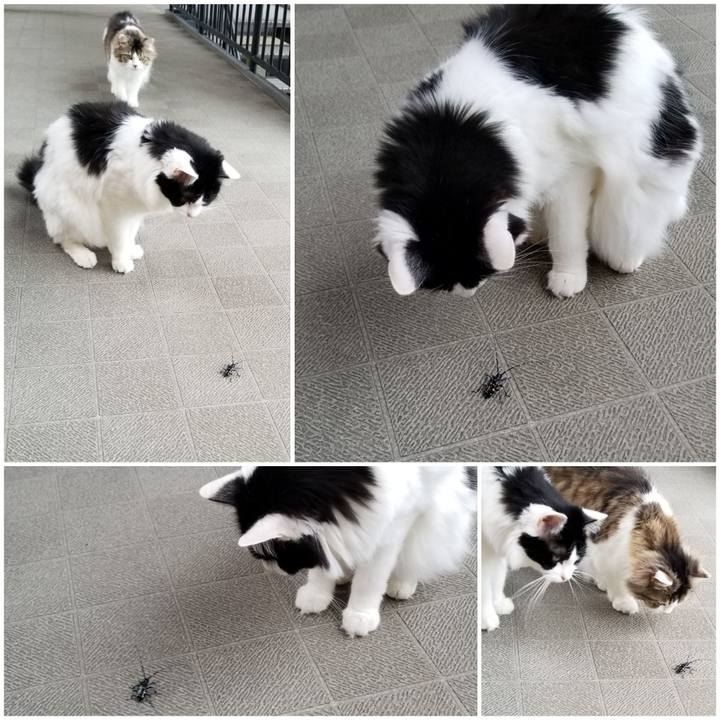 E46a765e 7ef8 48e7 afc3 0bff94aef63e 1593903339904