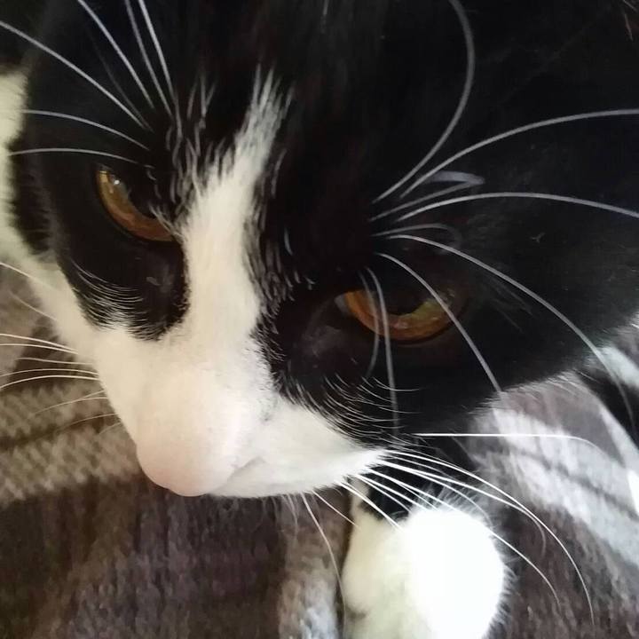 E46a7edb 067d 4979 9331 e26c6900149e 1552137270923