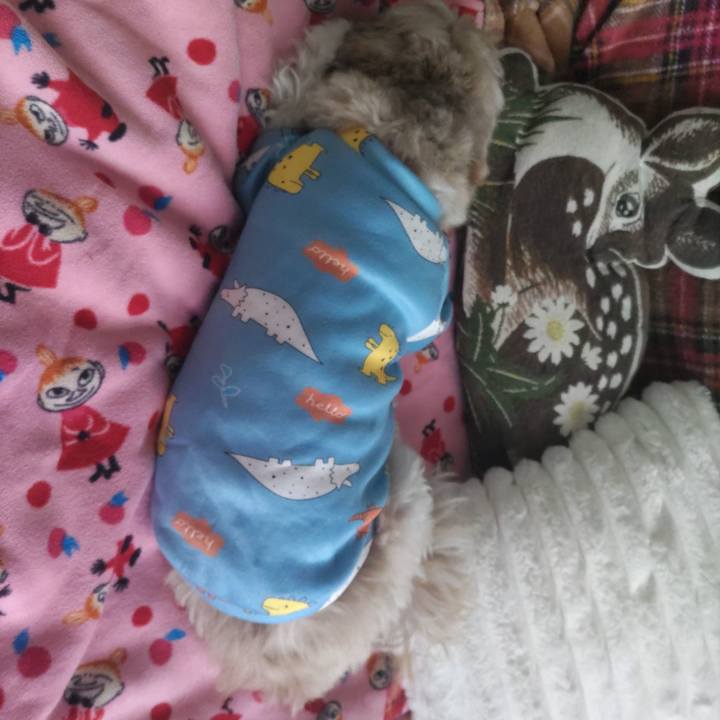 E46a8480 4005 45e4 abb7 f23d299eb839 1765685843132