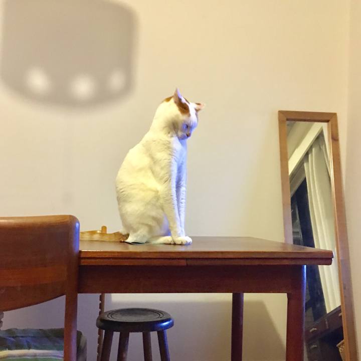 E46a9469 8cb0 43bf 8c44 8f1f4e88f7be 1553990624597