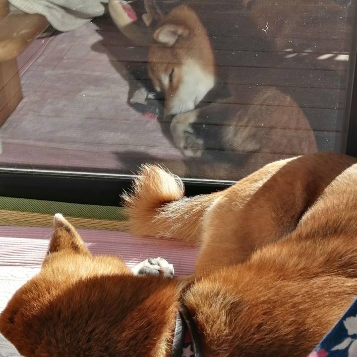 E46ae3e2 65ce 4a0a 9970 9f9db8784339 1671770970062