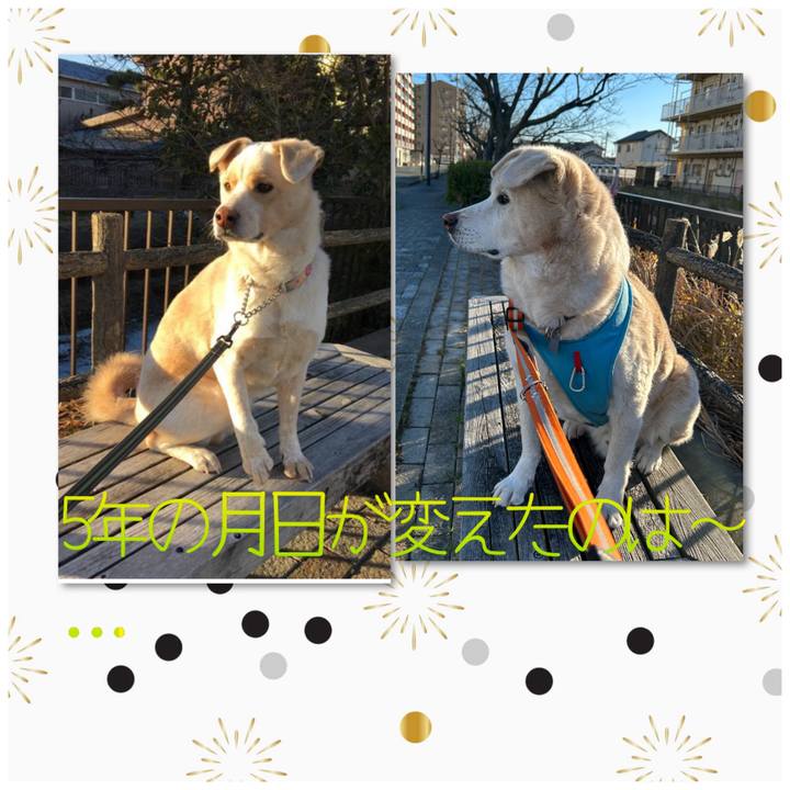 E46b2820 735e 4ecf b584 7545105993d7 1706510099482