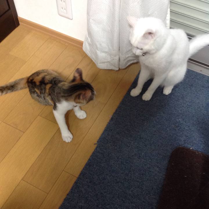 E46b3416 b667 4a32 b2fc 79742756db65 1628631980853