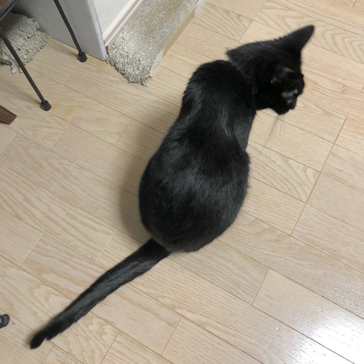 E46b3e6a d101 4ef8 afef 79114eaca948 1616324566485