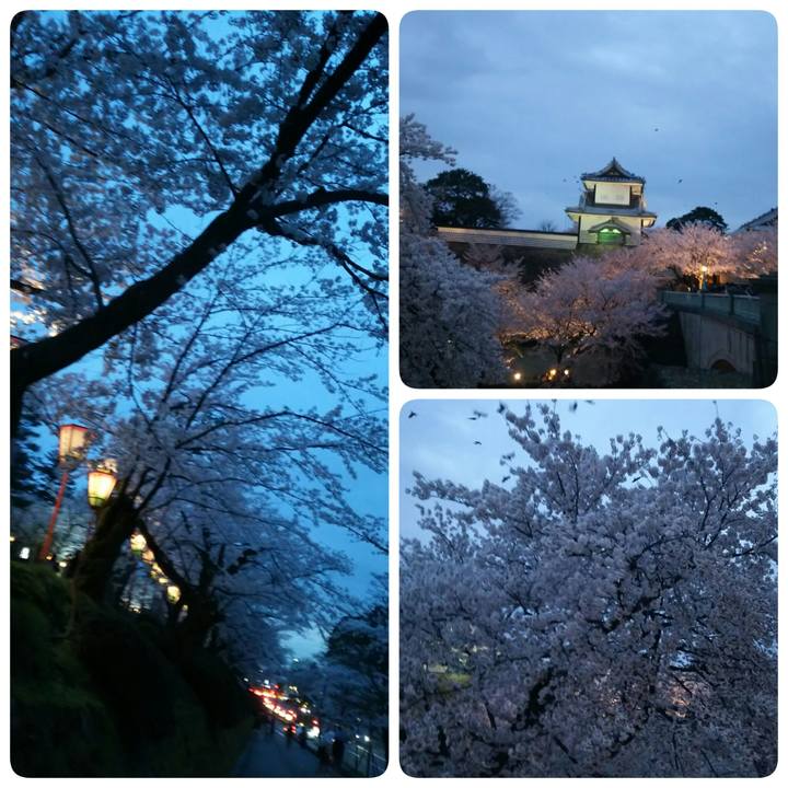 E46b4ba4 8400 40d0 9db0 18ccb61f6fa1 1522935523416