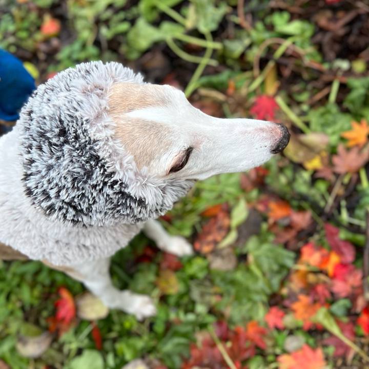 E46b7668 7d73 4ad5 b321 faff0efdd6a9 1763368574636