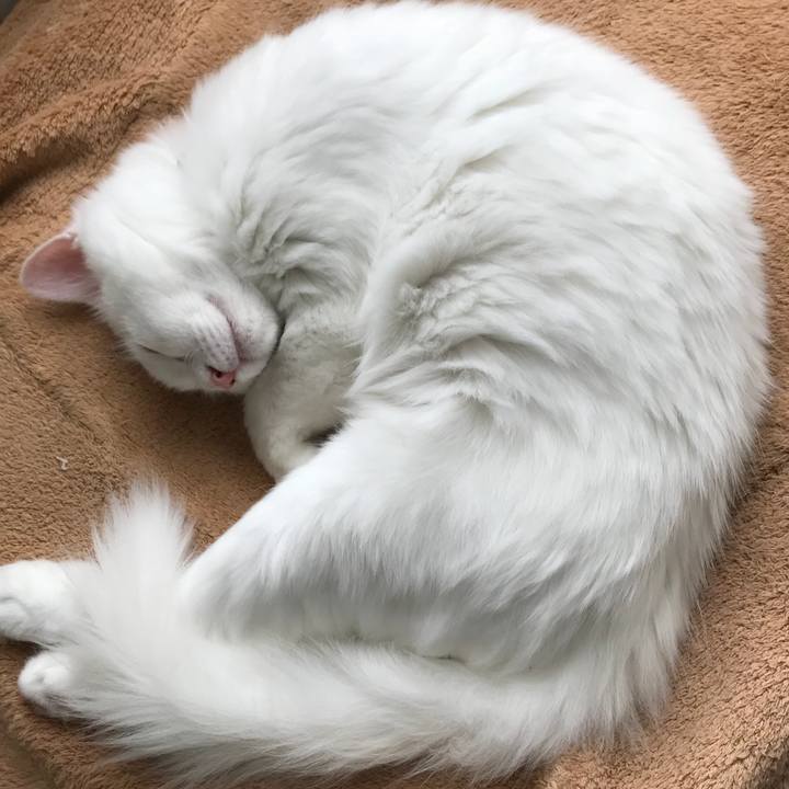 E46b87fa 0fec 4c35 abe2 e7e65b8c9960 1510118365488