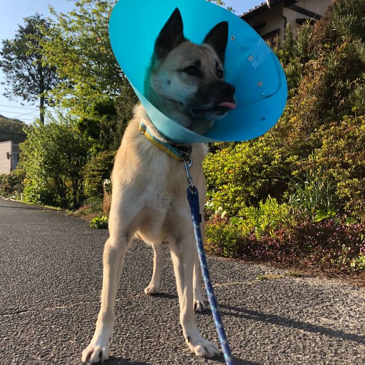 E46b9464 1079 4197 8c1d 0fcb85eb9a05 1587718425133