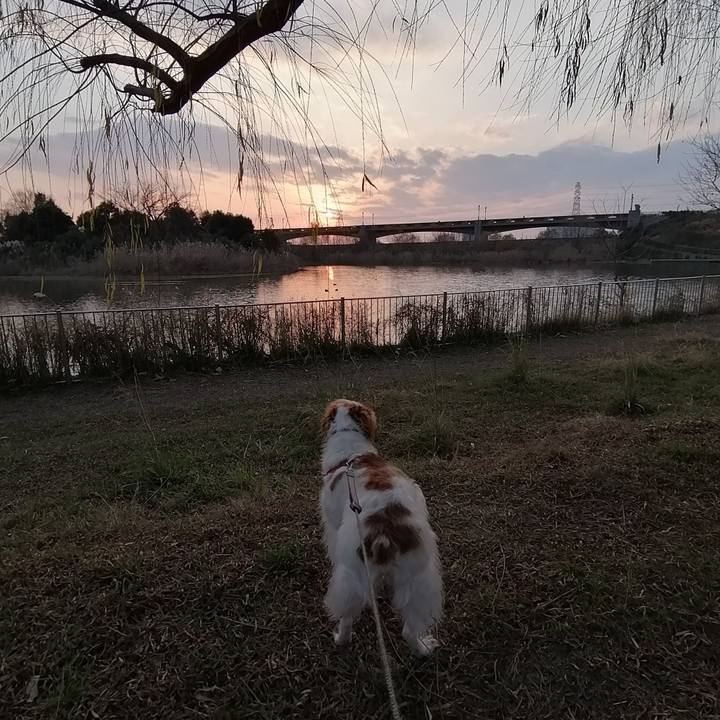 E46bd138 391d 4d18 8673 1c04b97a342d 1578053437345