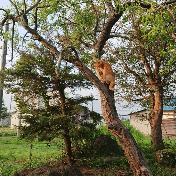 E46be514 49d8 4414 bee3 4cd773053b83 1657486404082