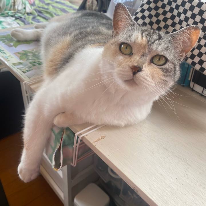 E46bf28c ba0b 4a4f a2ff 36fb420a689c 1622336640496