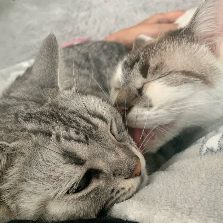 E46c17f9 bd5e 43ad 9921 cb7e3fd9e582 1660349622861