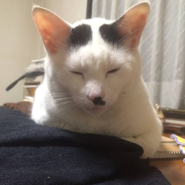 E46c23bc 08e5 4dab 9b86 5a67c9f2c974 1525274936990