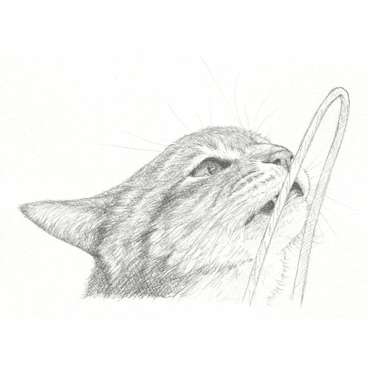 E46c3651 ec1b 4fb3 9346 cad27c09f278 1546352600932