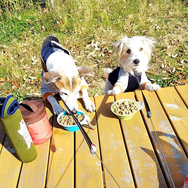 E46c60c2 e38e 4907 8f13 dd2ef3ff7c81 1576300433325