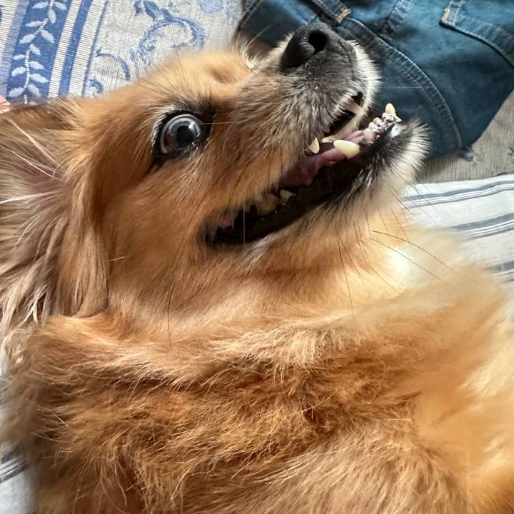 E46c77e6 e7bf 4cf4 aee2 c86c01bfb021 1721942309914