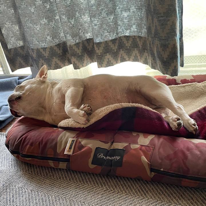 E46c8caf 37f7 42e3 af4e cd6043ad3523 1752447359945