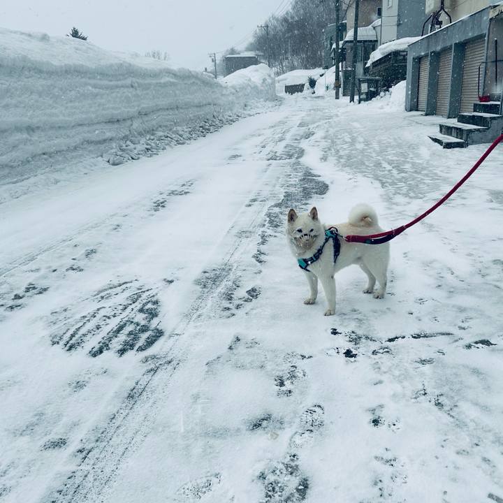 E46cb50f 6924 4af6 856d 49faa50f1240 1740954086711