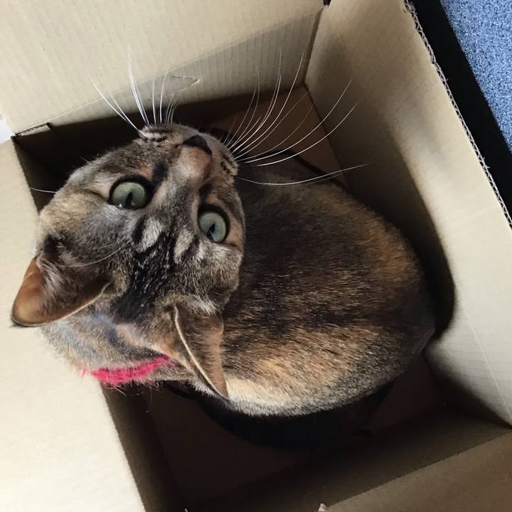 E46d00aa 9d04 4956 910c 001ae74dfd8b 1612585363054