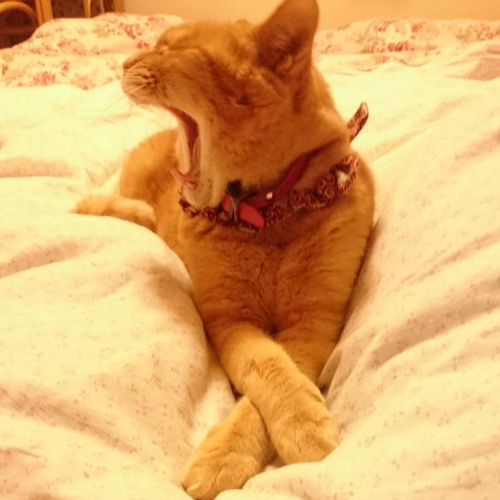 E46d1855 8b49 49de add1 35d55fca0025 1528549830855