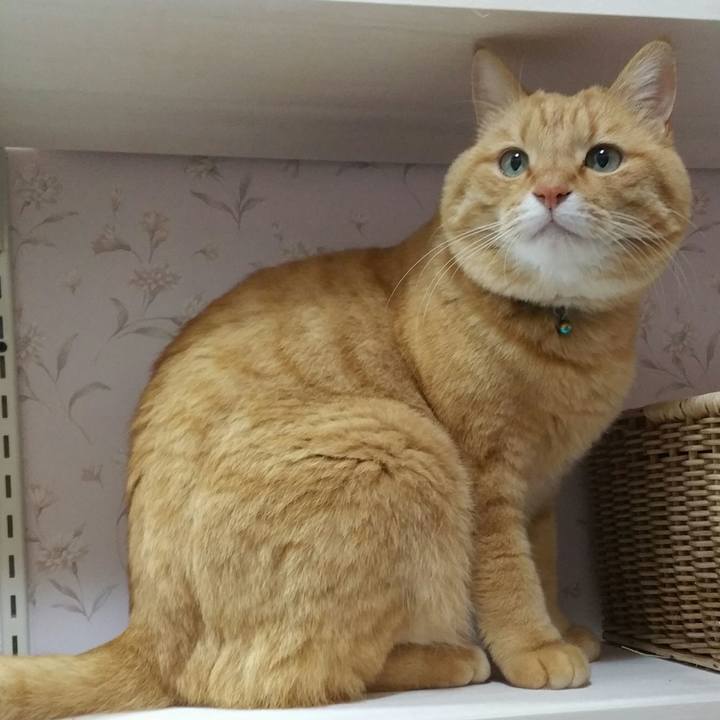 E46d31c9 9de8 41f7 a285 1120c41c901e 1563405099328