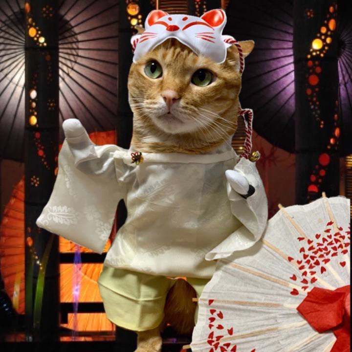 E46d51c3 08f9 45da ae88 e8595fc6a03f 1635503498204