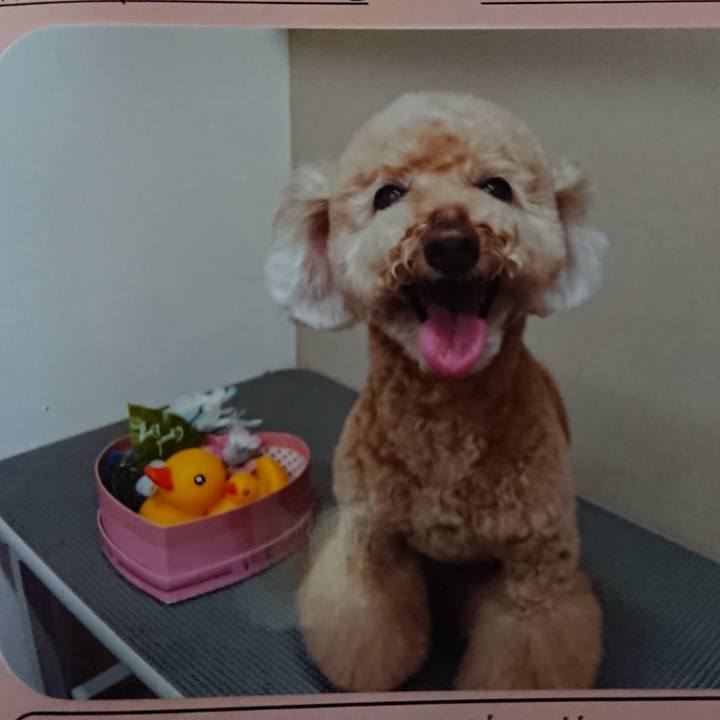 E46d918a 65cb 4414 b3a2 f2236ea6749f 1621133822957