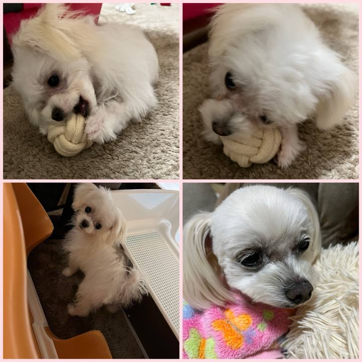 E46e0a92 95b1 4cac 9a28 72084b41b367 1707218526341