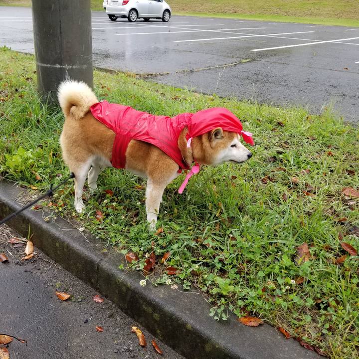 E46e2fcf 29cb 476e b6c7 4cc58df38b84 1634447471796