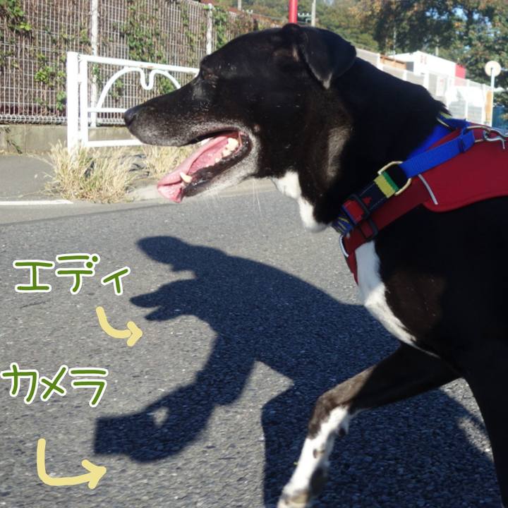 E46e4c4b 296a 4fae 9cf5 28a34bb4e42f 1667350291779