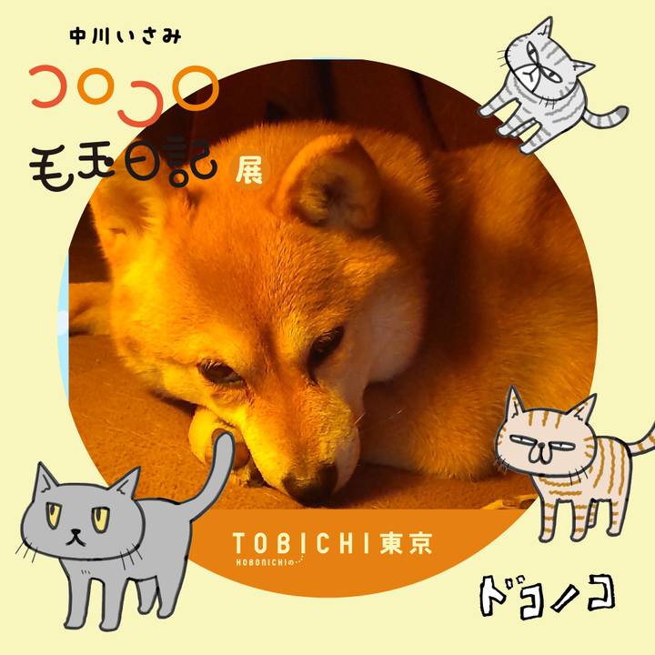 E46eae82 cf31 435b b405 a0fcfc7bfdb7 1740200895158